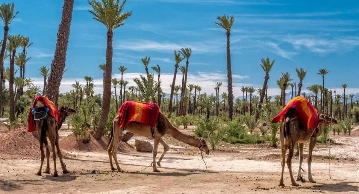 Traditionnel Boutique - Marrakech Downtown مراكش شقة